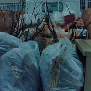 長崎市で観葉植物や植木鉢、大型ゴミ回収